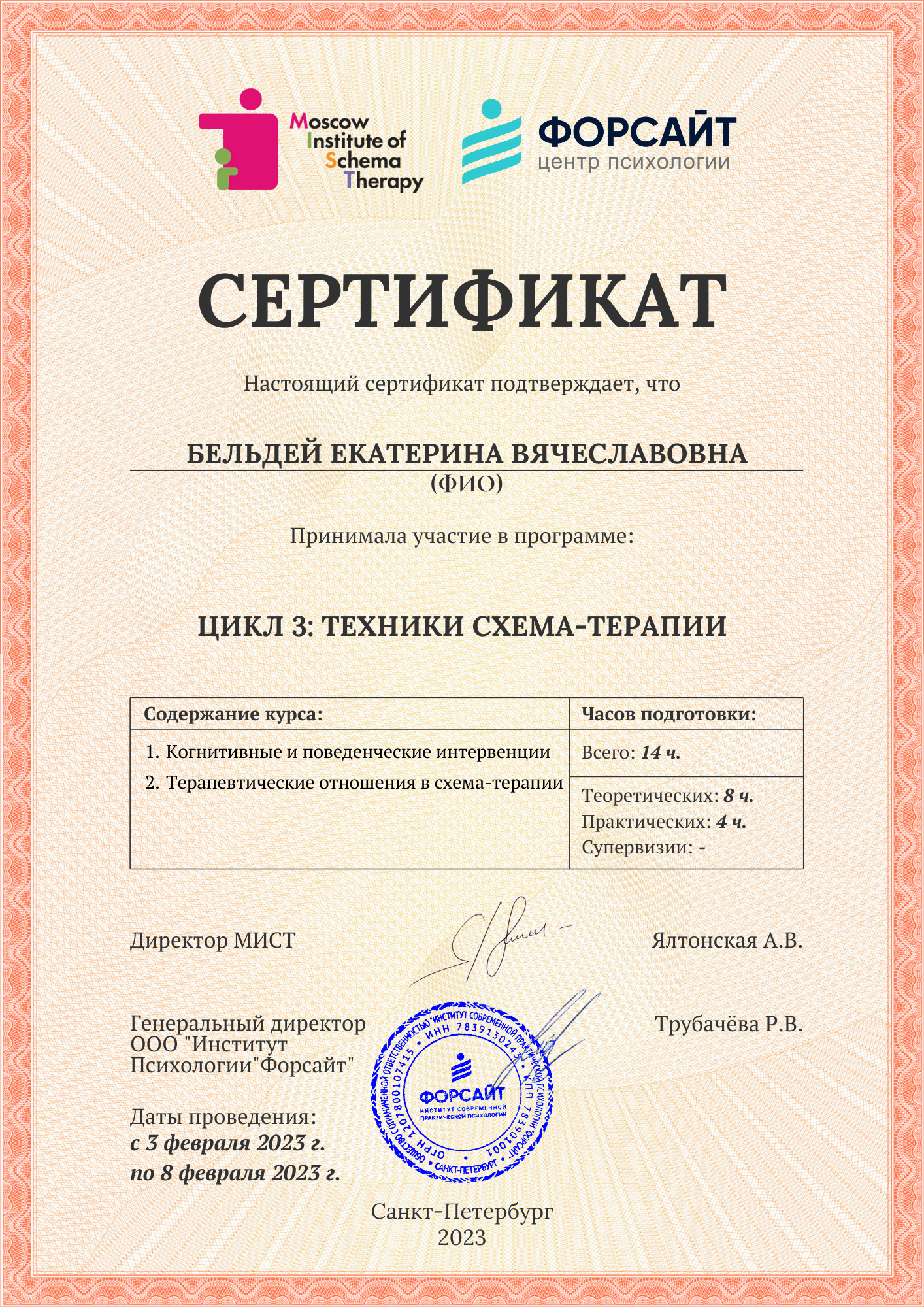 Техники схема-терапии (14 часов)